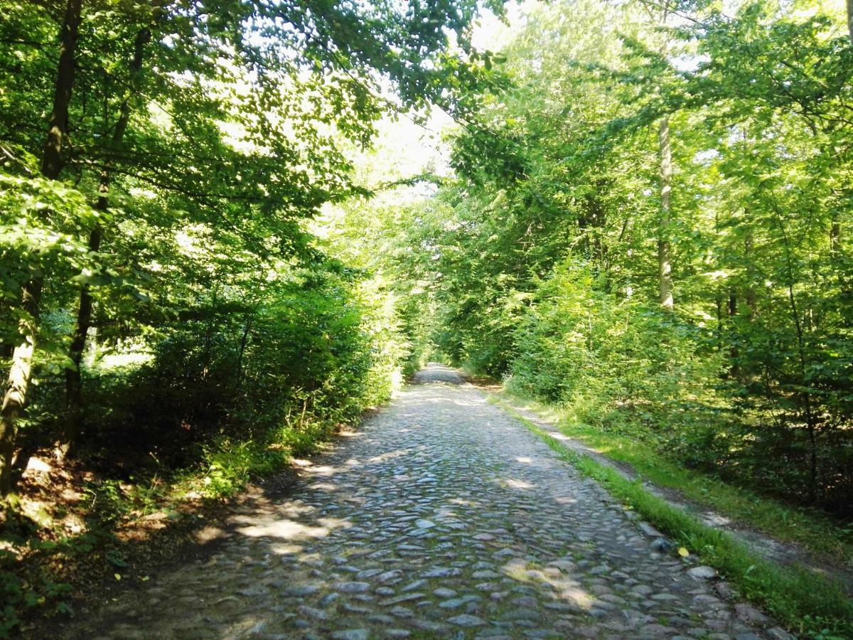 Agroturystyka Ginkgo Sulislaw  Exterior photo